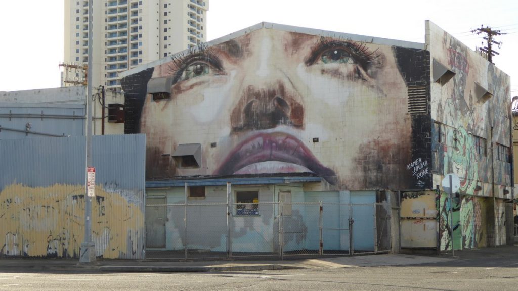 RONE + KAMEA HADAR - Pohukaina st & Cooke st