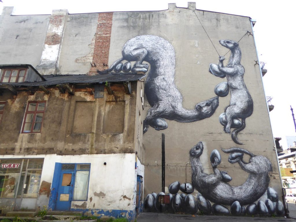 ROA - ul. Nowomiejska 5