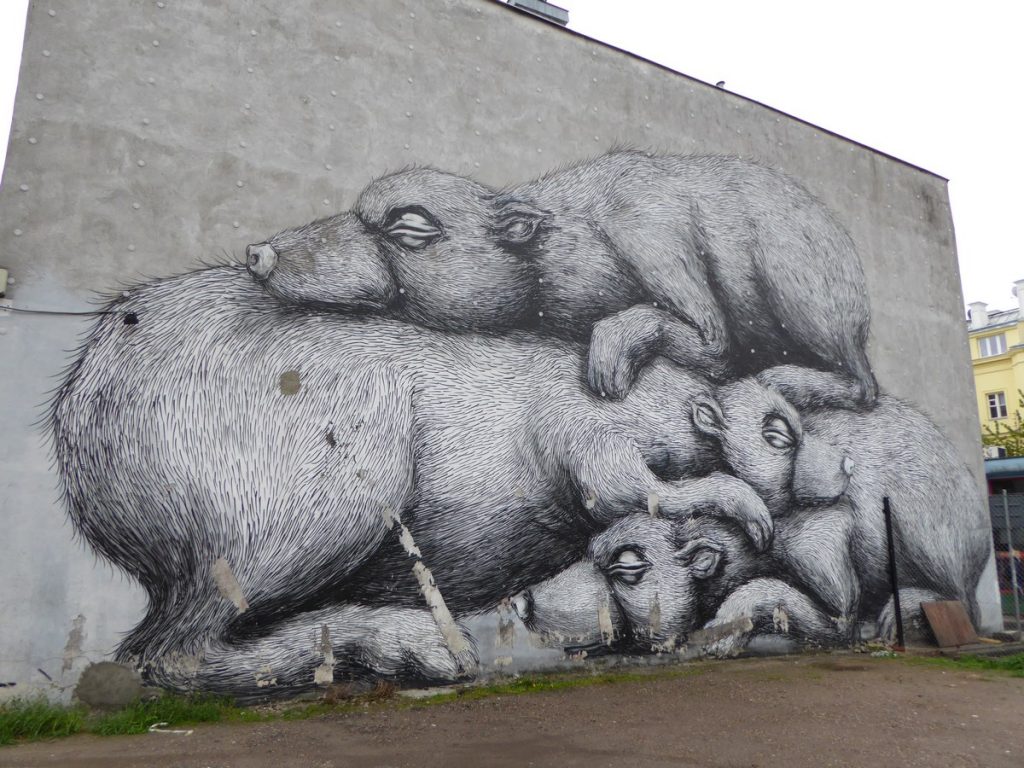 ROA - Nowy Swia