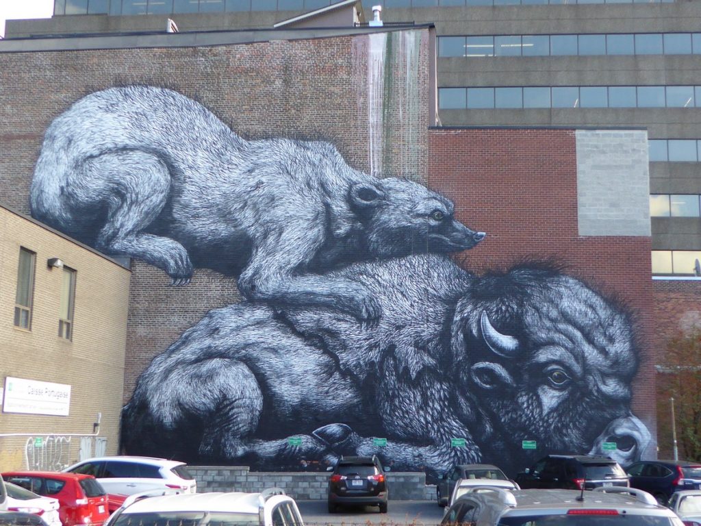 ROA - 4277 rue Clark