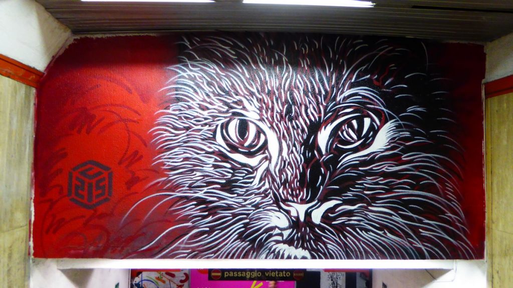 C215 - station de métro Spagna