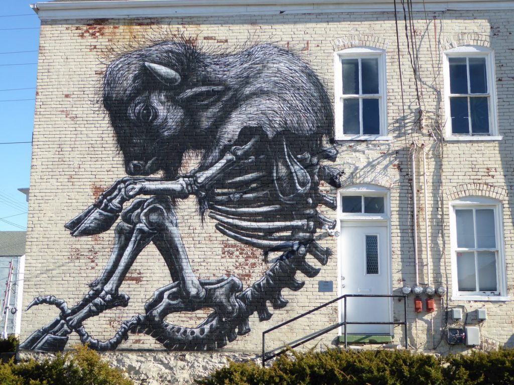 ROA - 139 Luigart Av