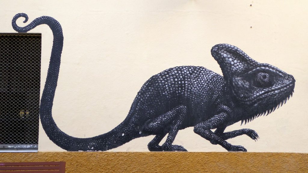 ROA - Calle Casa de Campos