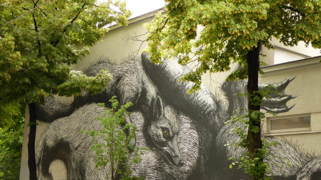 ROA - Schadekgasse