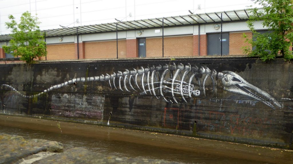 PHLEGM - Broadfield rd (face Carpet Workshop)