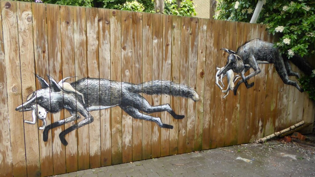 PHLEGM - Clarkegrove rd & Southgrove rd