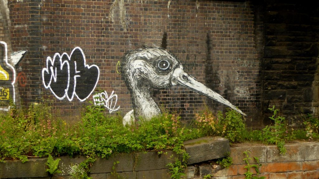 ROA - Brightside ln (à côté Costa Coffee)