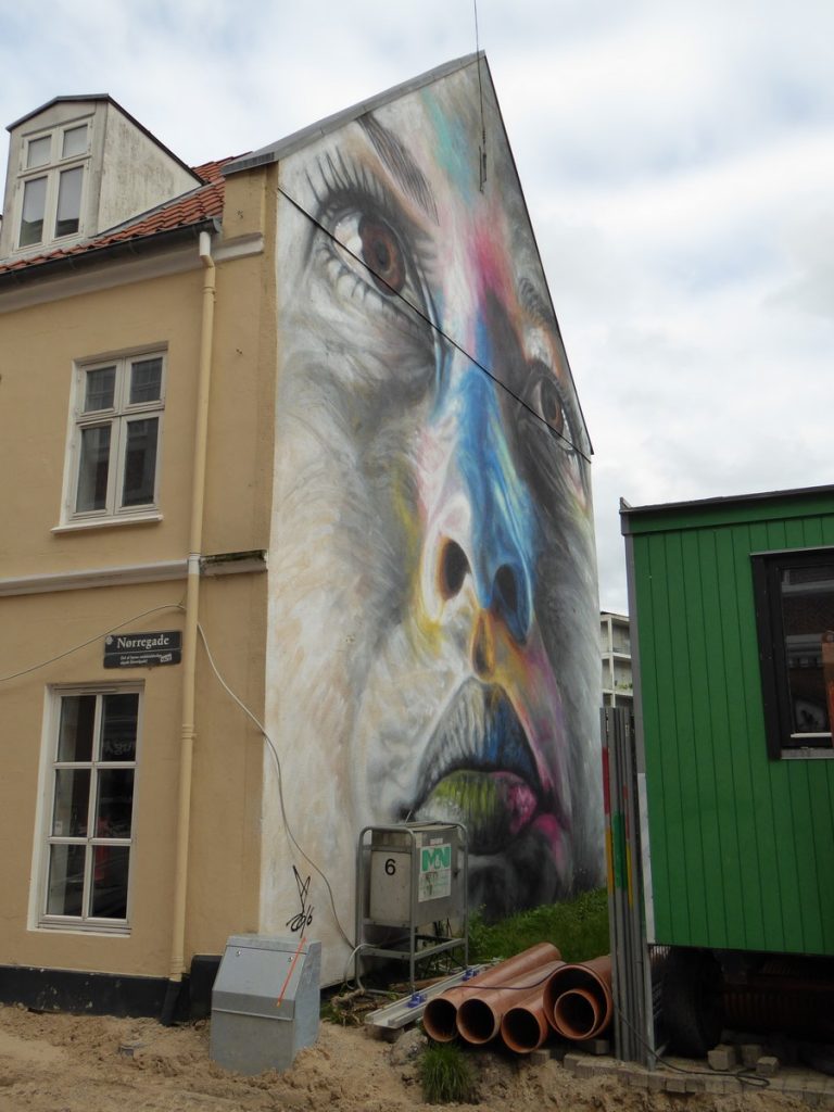 DAVID WALKER - Aalborg - Norregade