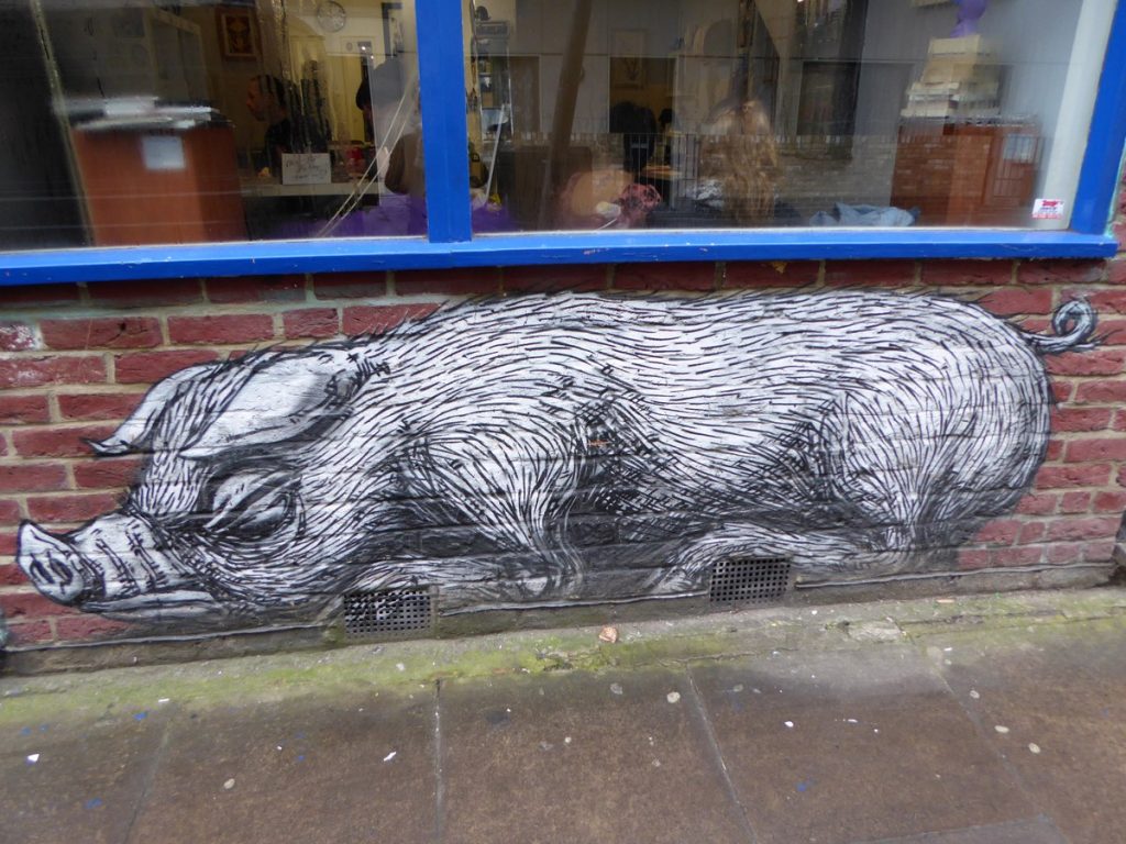 ROA - Bacon st 