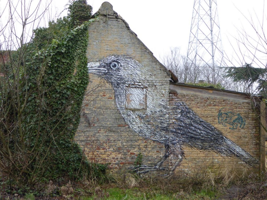 ROA - Doel