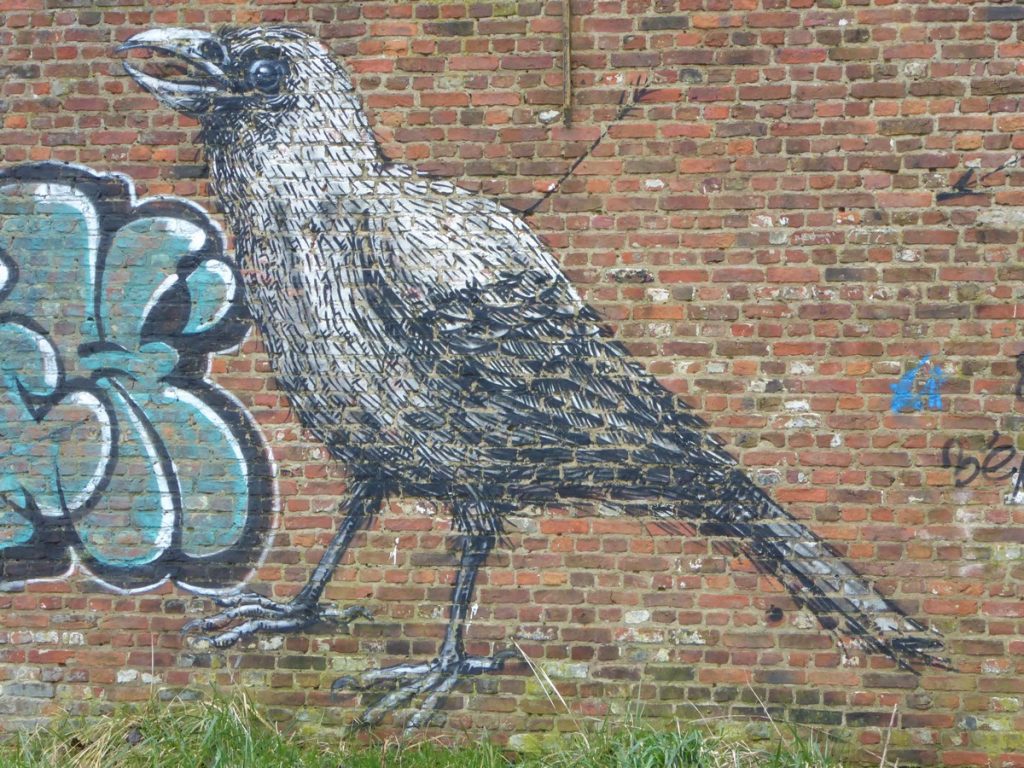 ROA - Doel