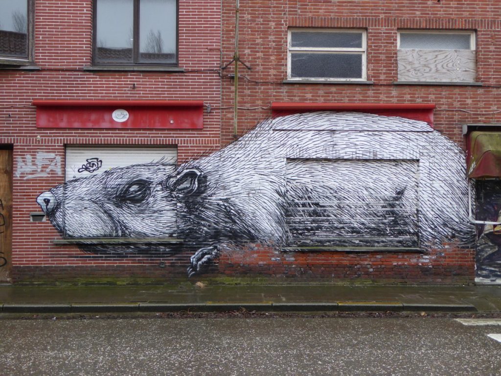 ROA - Doel