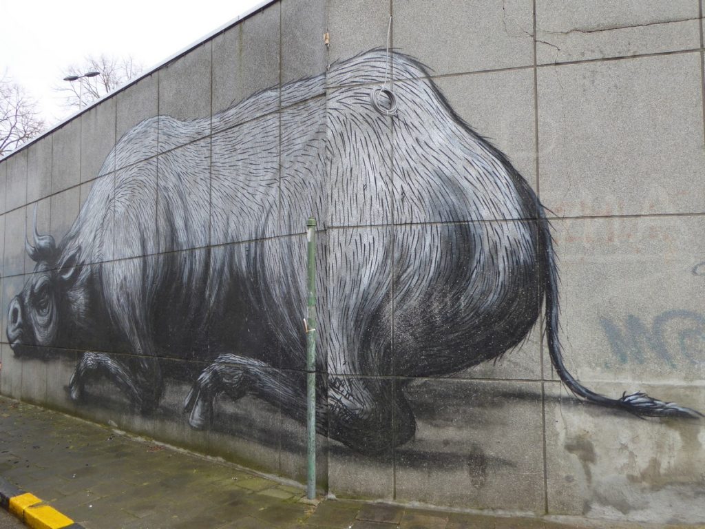 ROA - Spanjaardstraat