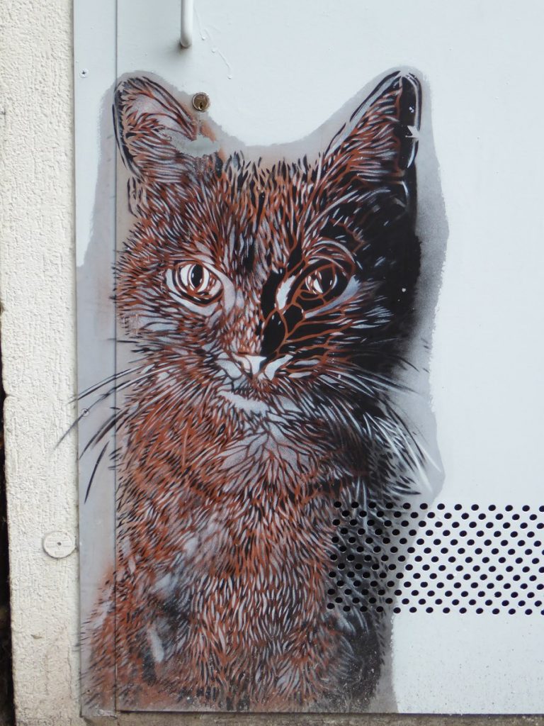 C215