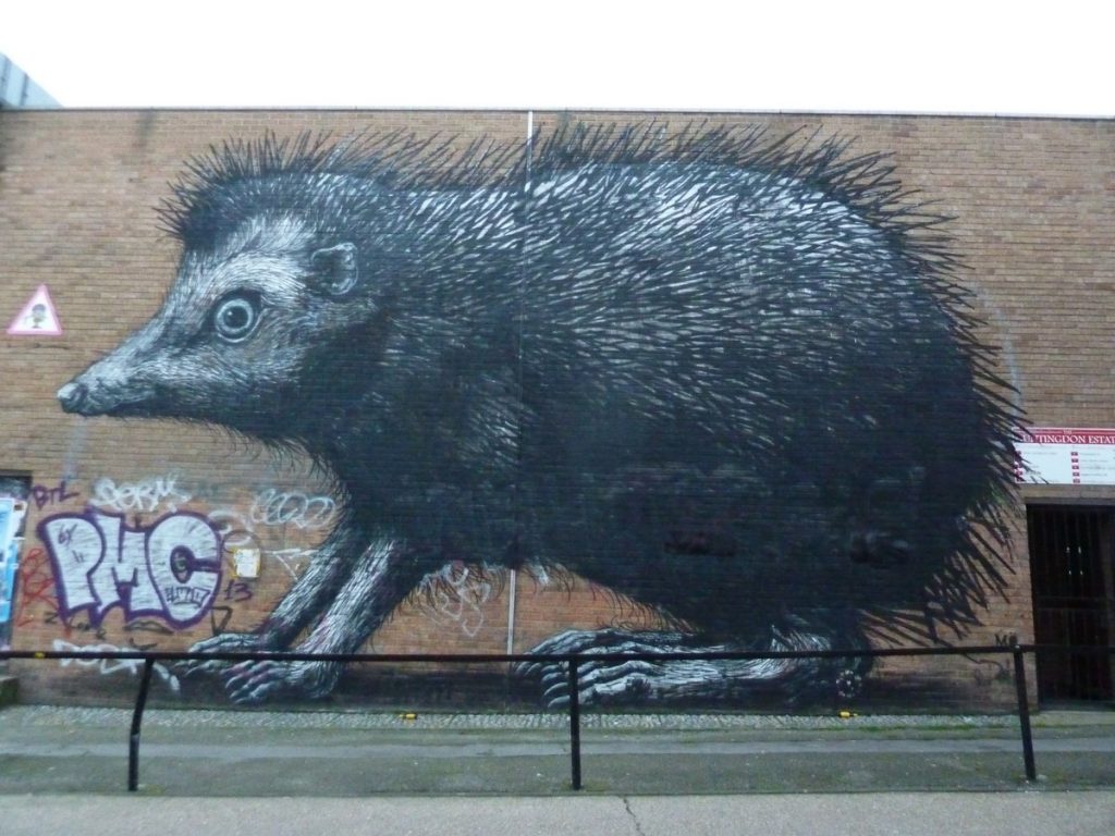 ROA - Chance Street