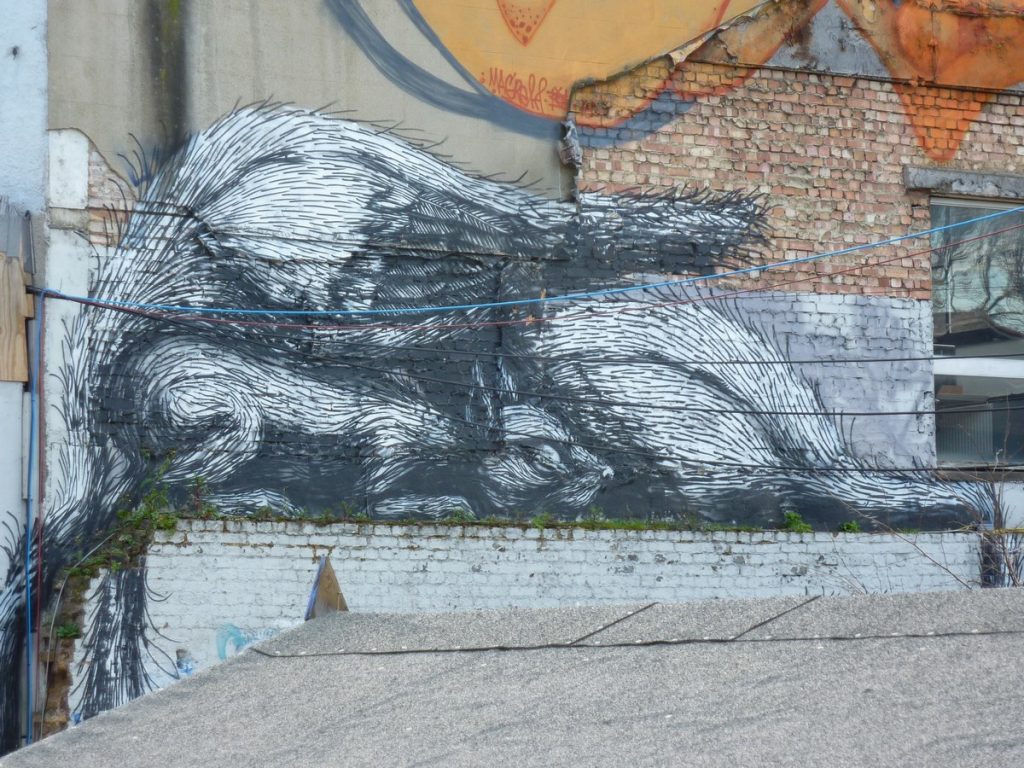 ROA