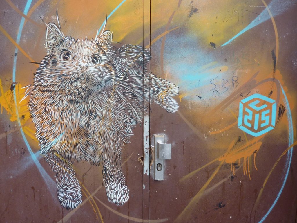 C215