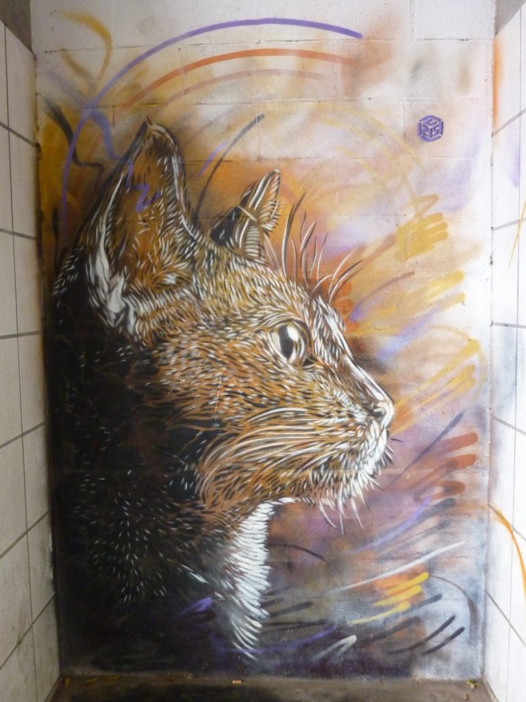 C215