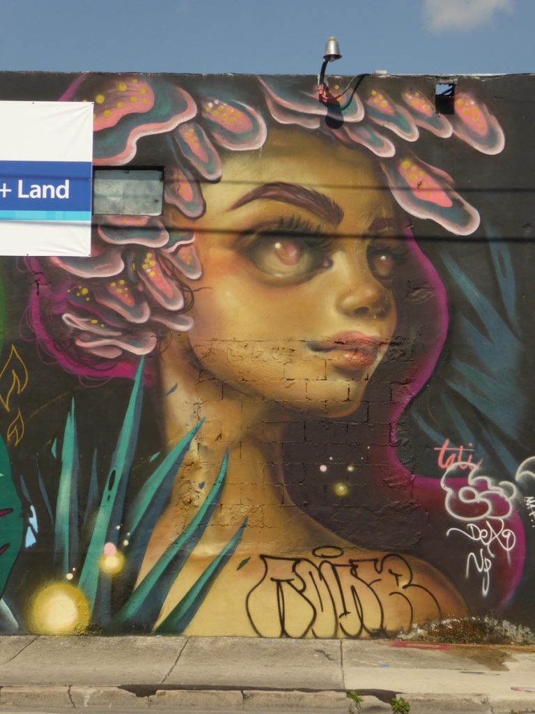 TATIANA SUAREZ - Miami - NW 2nd av & NW 20th Terrace