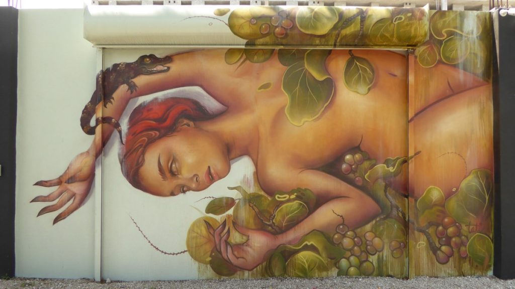 TATIANA SUAREZ - Miami - Wynwood Walls – NW 26 st / NW 25 st / NW 2 av