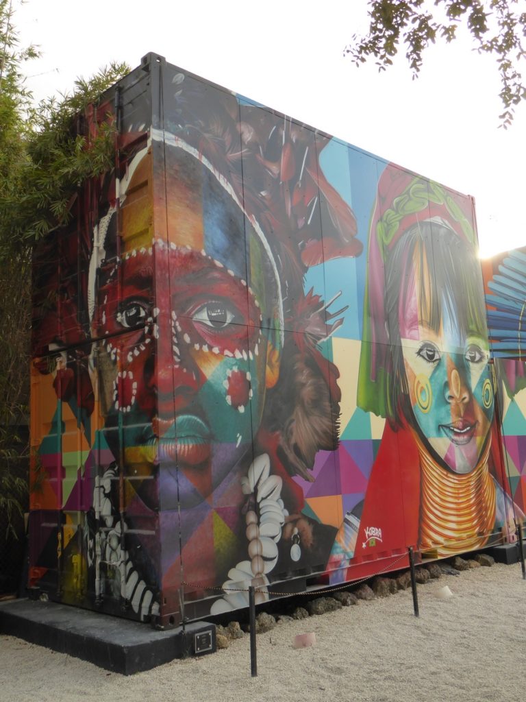 EDUARDO KOBRA - Miami - Wynwood Walls – NW 26 st / NW 25 st / NW 2 av